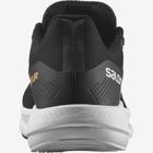 Salomon Spectur