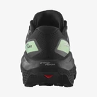 Salomon Ultra Flow 2 GTX cipő
