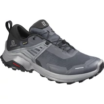 Salomon X Raise GTX W